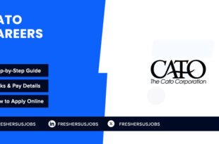 Cato Careers