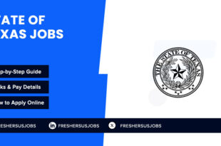 State of Texas Jobs in the United States | Apply Today