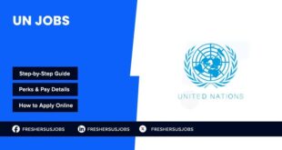 UN Jobs | Work with Global Governance Institutions